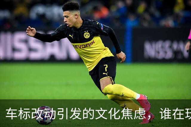 车标改动引发的文化焦虑，谁在玩火自焚？